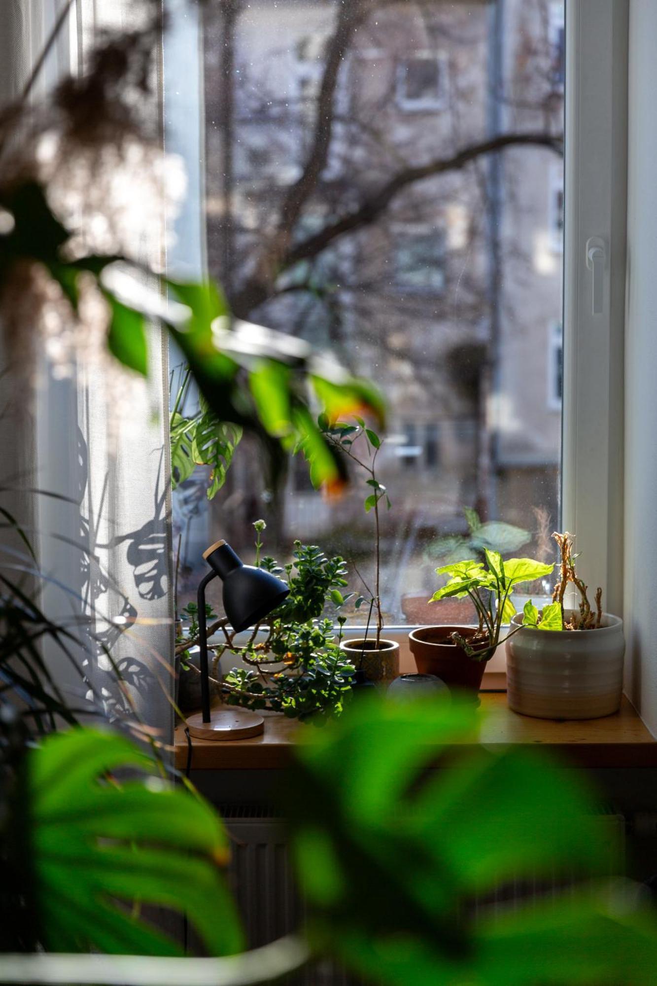 Evergreen - Old Town Spacious Stylish Apartment With Ac And One And A Half Bath, Baby & Kid- Friendly Bratislava Esterno foto