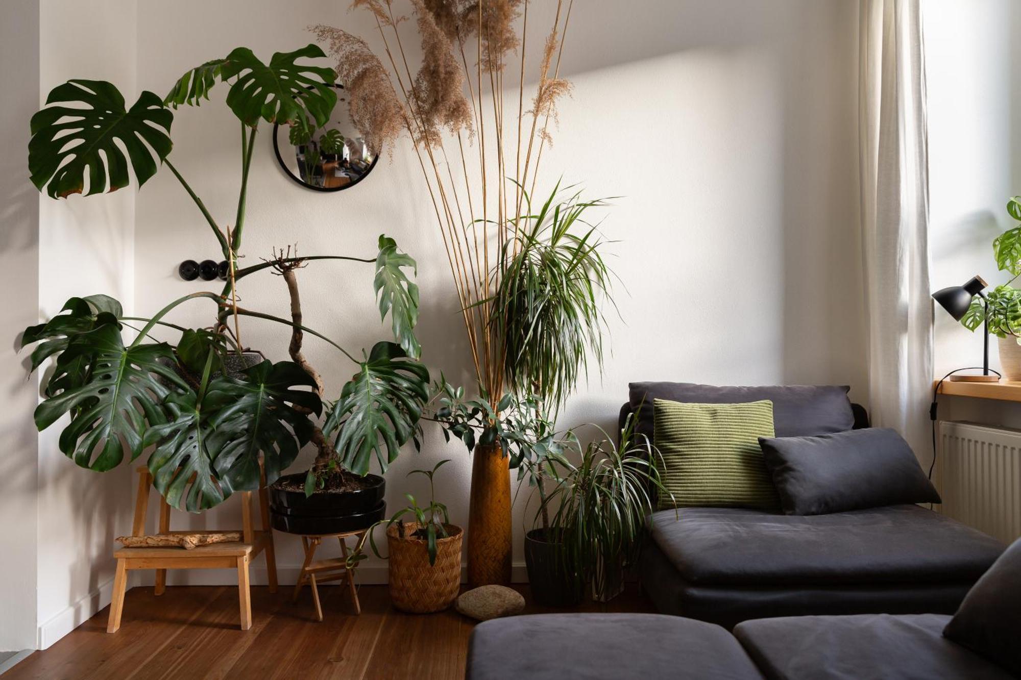 Evergreen - Old Town Spacious Stylish Apartment With Ac And One And A Half Bath, Baby & Kid- Friendly Bratislava Esterno foto